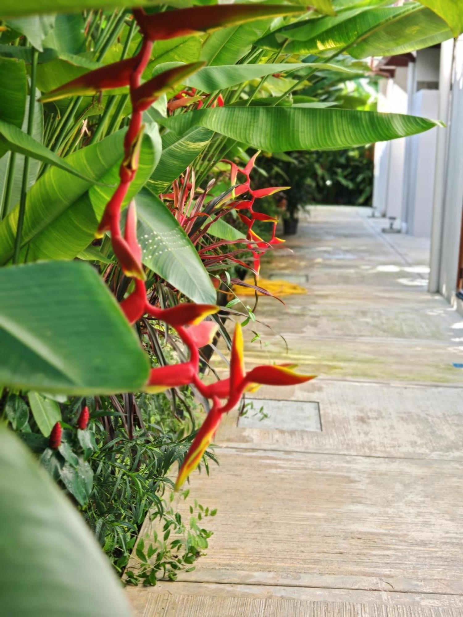 Chrisenbel Hideaway Retreat Petaling Jaya